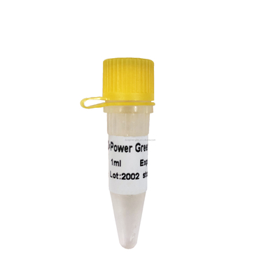 Power Green QPCR ผสม ROX ต่ำ + PCR แบบเรียลไทม์ P2101a P2102a