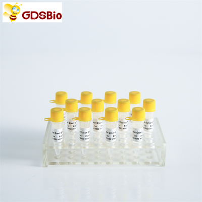 GDSBio Power Green Master Mixture สำหรับ PCR พร้อม ROX P2101c P2102c