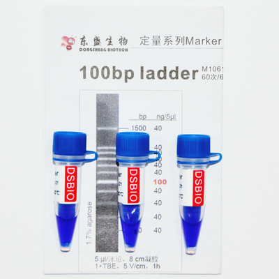 100bp แลดเดอร์ DNA Marker M1061 (50μg)/M1062 (50μg×5)