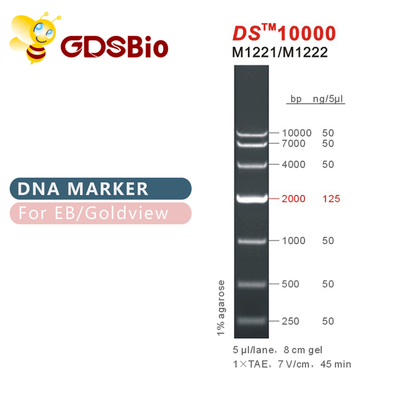 DS10000 บันไดมาร์คเกอร์ DNA M1221 (50μg)/M1222 (5×50μg)