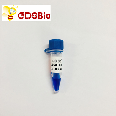 GDSBio LD DS 5000 DNA Marker Electrophoresis ลักษณะเป็นสีน้ำเงิน