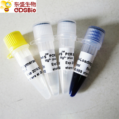 PCR QPCR FS Taq DNA พอลิเมอเรส P1071 P1072 P1073 P1074