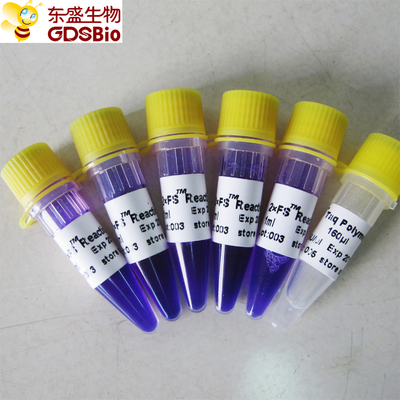 FS PCR Master Mix PCR Kit สำหรับการตรวจจับกรดนิวคลีอิก DNA RNA P3072 1ml×5