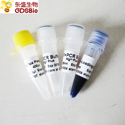 Blue Buffer Taq Plus DNA Polymerase สำหรับ PCR P1031 P1032 P1033 P1034