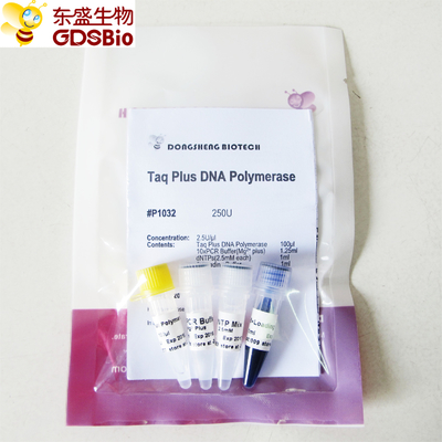 Blue Buffer Taq Plus DNA Polymerase สำหรับ PCR P1031 P1032 P1033 P1034