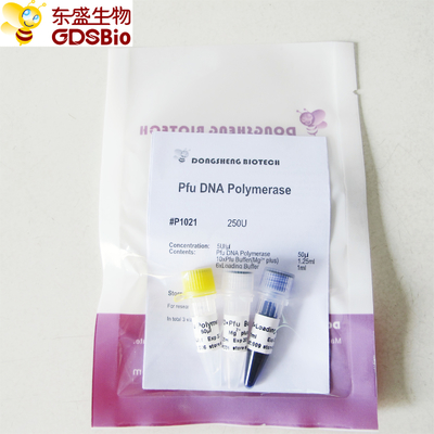 Pfu DNA Polymerase สำหรับ PCR P1021 P1022 P1023 P1024