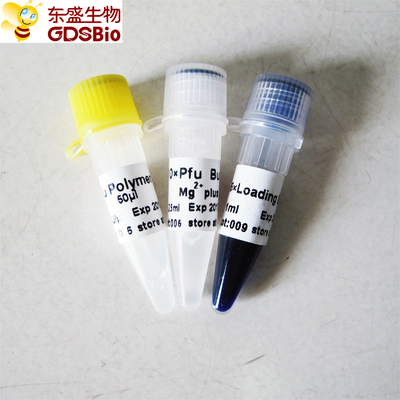 Pfu DNA Polymerase สำหรับ PCR P1021 P1022 P1023 P1024