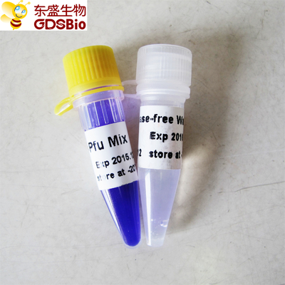 DNA RNA Nucleic Acid PCR Detection Pfu PCR มาสเตอร์มิกซ์ P2021 1ml