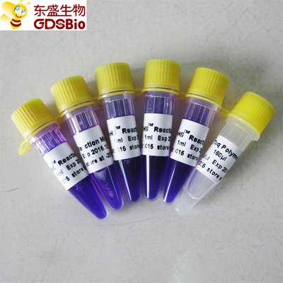 1ml×5 PCR Master Mix HS Kit สำหรับการตรวจจับกรดนิวคลีอิก PCR P3082