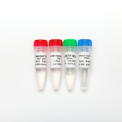 HS Hotstart Taq DNA Polymerase PCR Master Mix P1091 500U ความจำเพาะสูง