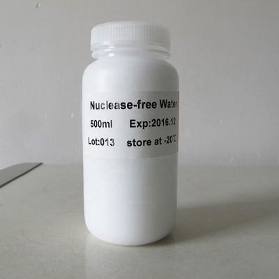 ชีววิทยาโมเลกุลน้ำ Nuclease ฟรี 5 มล. เกรด P9021