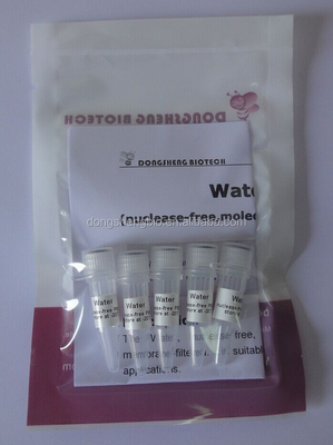 เกรดอณูชีววิทยา Water Nuclease Free P9023 500ml
