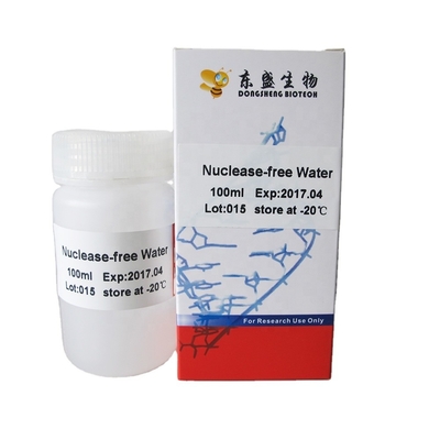 เกรดอณูชีววิทยา Water Nuclease Free P9023 500ml
