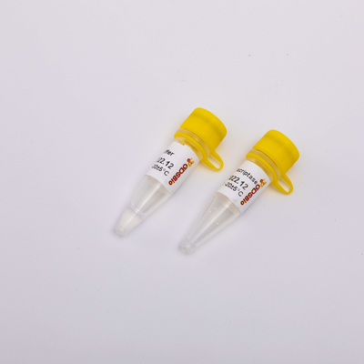ทอง Rt PCR ย้อนกลับ Transcriptase R3001 2000U R3002 10000U