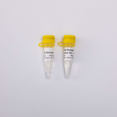 ปฏิกิริยา 40/400/2000 2X NGS Multi Plex PCR NM1001 NM1002 NM1003