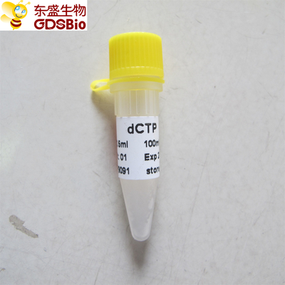 dCTP #P9091 1 มล PCR qPCR