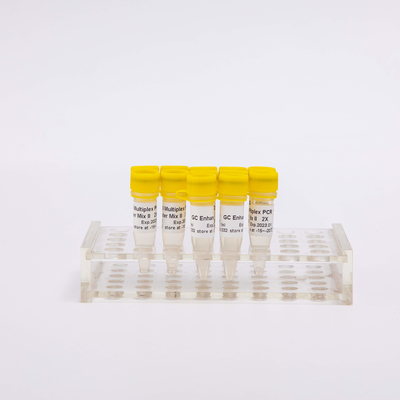 NGS Multiplex 2X PCR Master ผสม 400 ปฏิกิริยาไม่มีสี
