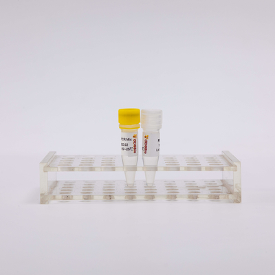 50 Rxn 2X Reverse Transcriptase PCR รีเอเจนต์ One Step Master Mix P1001
