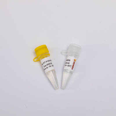 2X One Step RT PCR Mix สำหรับ RNA Reverse Transcription RP1001