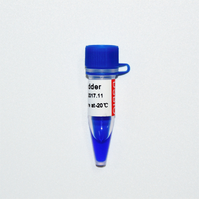 20bp Ladder DNA Marker Electrophoresis ลักษณะ GDSBio Blue
