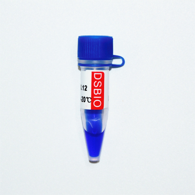 GDSBio Marker 3 DNA Marker Gel Electrophoresis ลักษณะสีน้ำเงิน