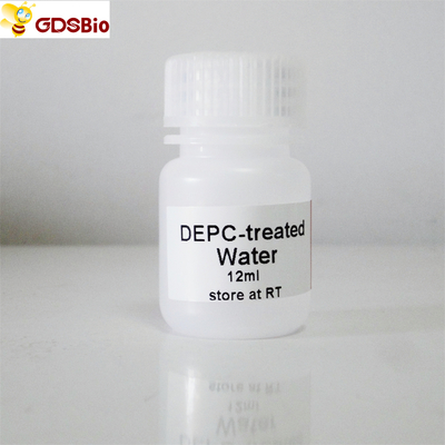 น้ำที่ผ่านการบำบัดด้วย DEPC 30 มล. สำหรับ PCR R2041 ไม่มีสี