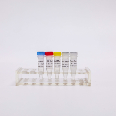 RT PCR ผสมสำหรับรีเอเจนต์ Transcriptase PCR แบบย้อนกลับ R1031 100 Rxns