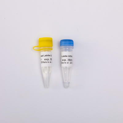 Heat Labile Master Mix สำหรับ Real Time PCR UDG เอนไซม์ต่อต้านการปนเปื้อนที่มีประสิทธิภาพสูง