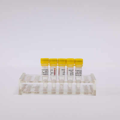 1ml 5ml 10ml Viral Nucleic Acid Extraction Kit ของเหลวใส