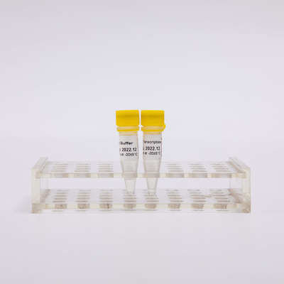 10000U Gold Reverse Transcriptase PCR R3002 ลักษณะไม่มีสี