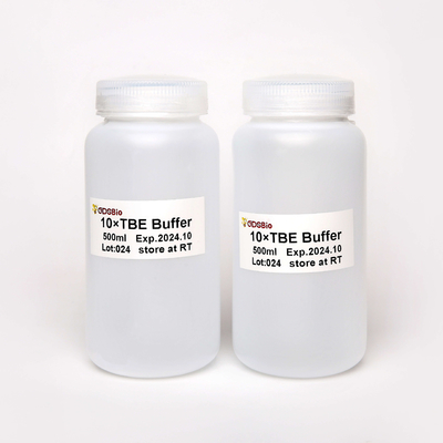 10X TBE Tris-Borate-EDTA DNA Electrophoresis Buffer 500มล
