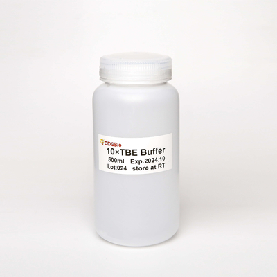 10X TBE Tris-Borate-EDTA DNA Electrophoresis Buffer 500มล