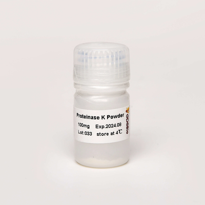 GDSBio ในหลอดทดลองผลิตภัณฑ์ตรวจวินิจฉัยอณูชีววิทยาเกรดโปรตีเนสเคผง PK N9016 100 มก.