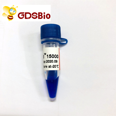 DS LD 15000bp 15kb DNA Marker อิเล็กโทรโฟรีซิส 50 Preps