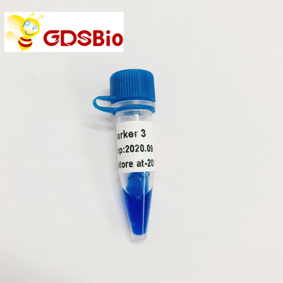 GDSBio LD Marker 3 DNA Marker อิเล็กโทรโฟรีซิส 60 Preps