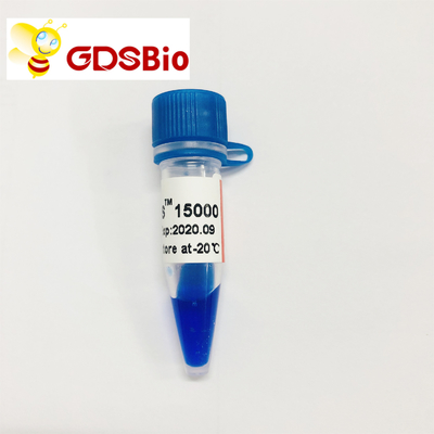 LD DS 15000bp 15kb DNA Marker อิเล็กโทรโฟรีซิส 50 Preps