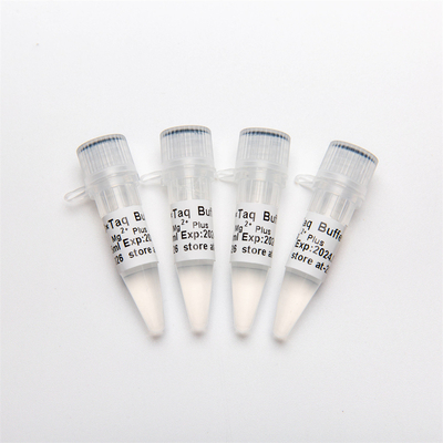 10× PCR บัฟเฟอร์ (Mg2+ Plus) P5011 1.25ml×4
