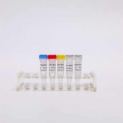 R1031 GDSBio First Strand CDNA Synthesis RT-PCR Mix สำหรับ QPCR Premixed RNA Reverse Transcriptase PCR รีเอเจนต์