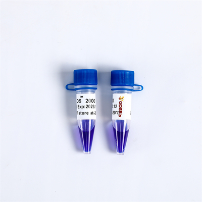 กรดนิวคลีอิกย้อมสี DNA Marker Electrophoresis สำหรับการจับคู่ LD DS 2000 LM1101 LM1102