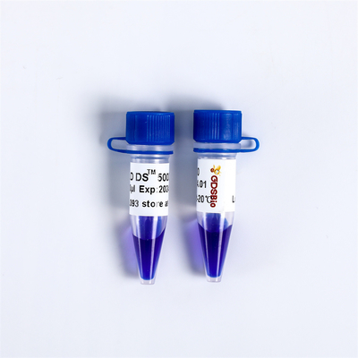 GDSBio Pre Staining Gel LD DS 5000 DNA Marker Electrophoresis สีน้ำเงิน LM1111 LM1112