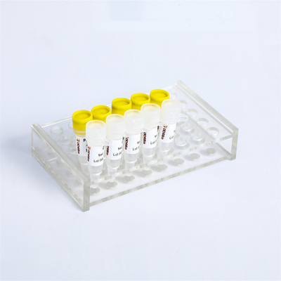P2101 PCR Master Mix Kit ปฏิกิริยา 400 Rxn 20μL