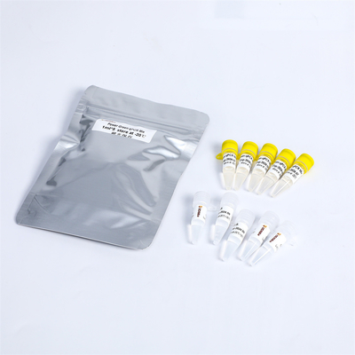 P2101 PCR Master Mix Kit ปฏิกิริยา 400 Rxn 20μL