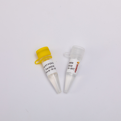 GDSBio RNA Reverse Transcription และ Endpoint PCR Kit One Step RT Mix RP1001