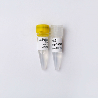 QPCR Real Time PCR Mix 5ml P2702 2 × Concentrated Premix Multiplex Probe พร้อม Udg Enzyme