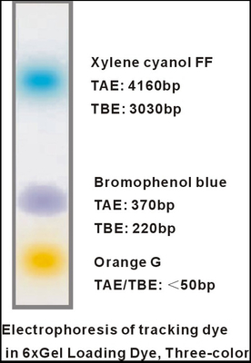 6× เจลโหลดสีย้อมสามสี DNA Electrophoresis Buffer EDTA 1mlx5