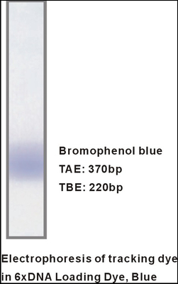 M9051 1mlx5 6× เจลโหลดบัฟเฟอร์ DNA Electrophoresis รีเอเจนต์เฉพาะ