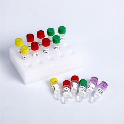 DNA NGS Library Plus Prep Kit คุณภาพสูงสำหรับ MGI KM004-A, KM004-B